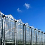 leasing greenhouse equipment