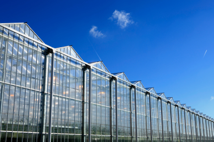 Financing your greenhouse project is like training for the Winter Olympics